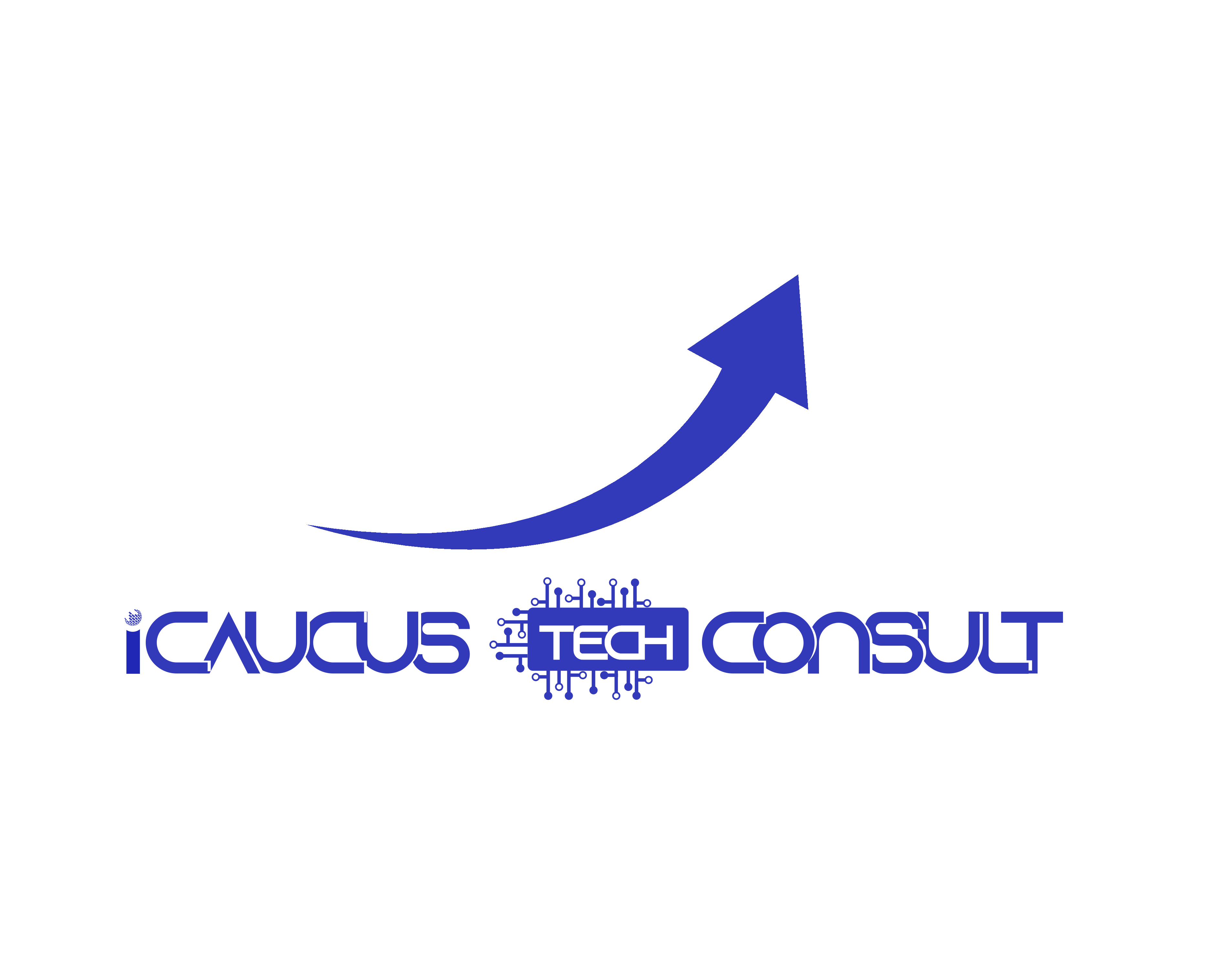 iCaucus Tech Consult